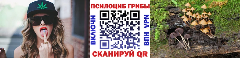 OMG ссылка  Вяземский  Псилоцибиновые грибы мицелий 